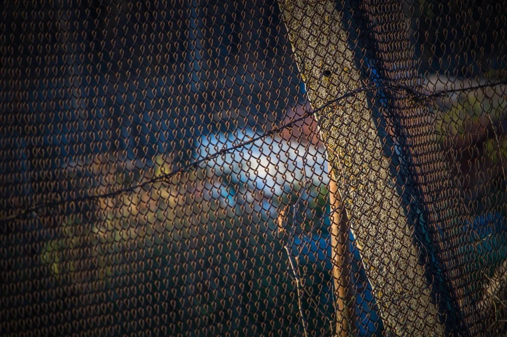 Chain Link Networking