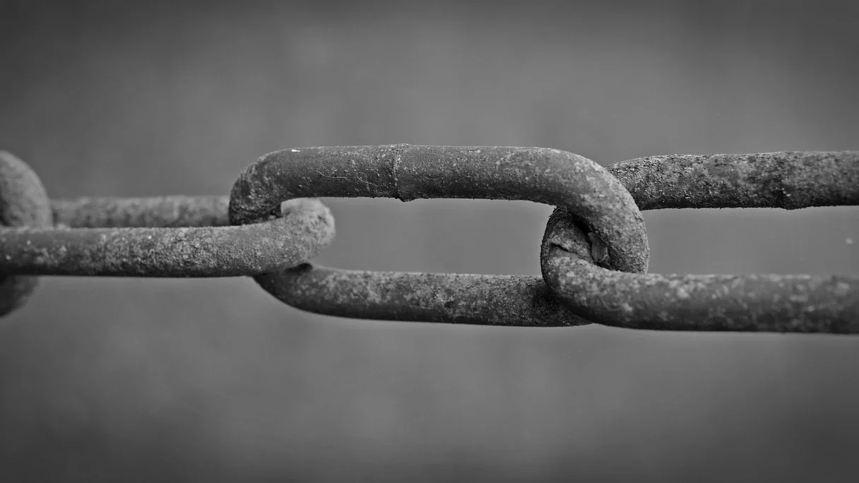 Chain Link Networking