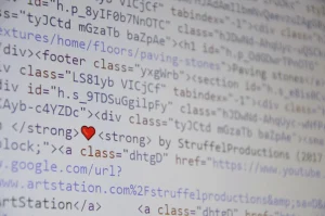 Computer Code Software Developer