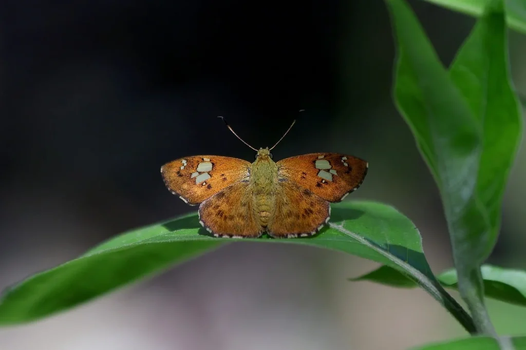 Fokus Pada ROI Dan Konversi, Bukan Sekadar Ranking
