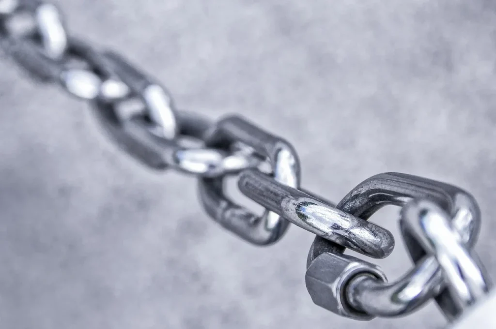 Link Building Network