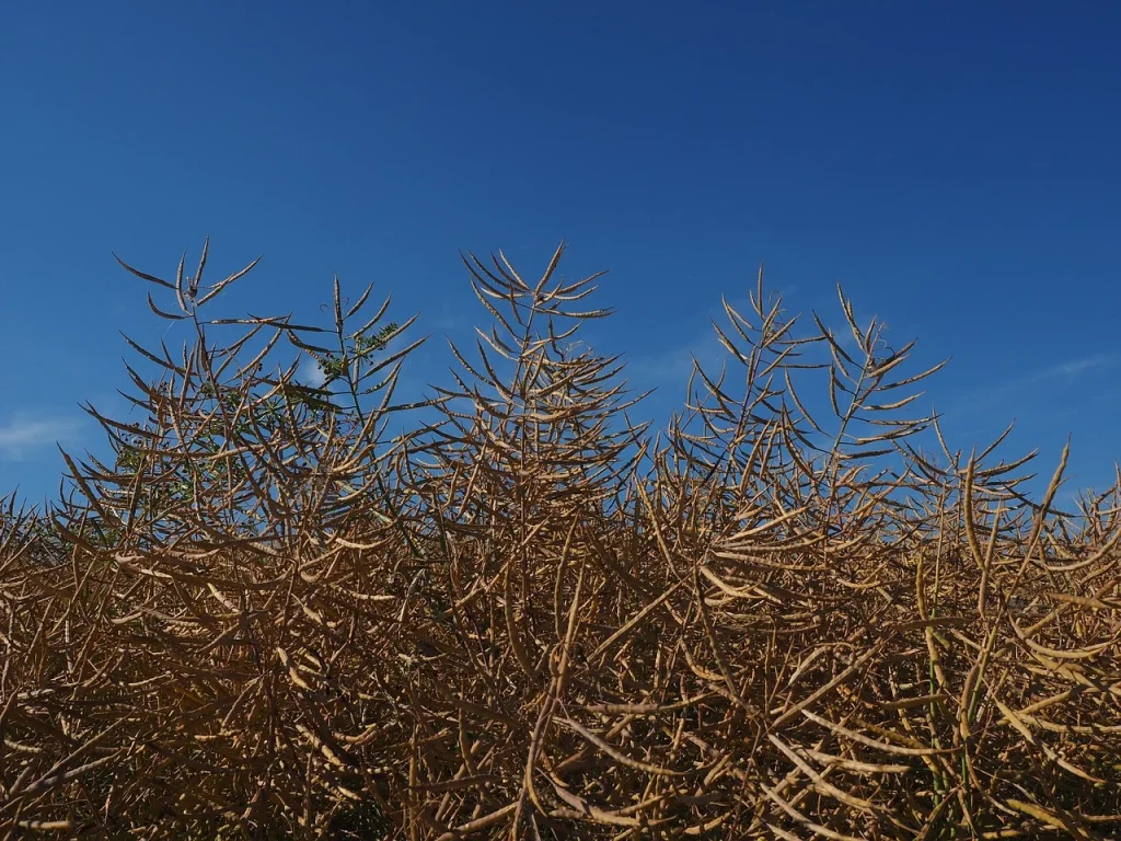 Meningkatkan Otoritas Website Lewat Konten Yang "Manusiawi"