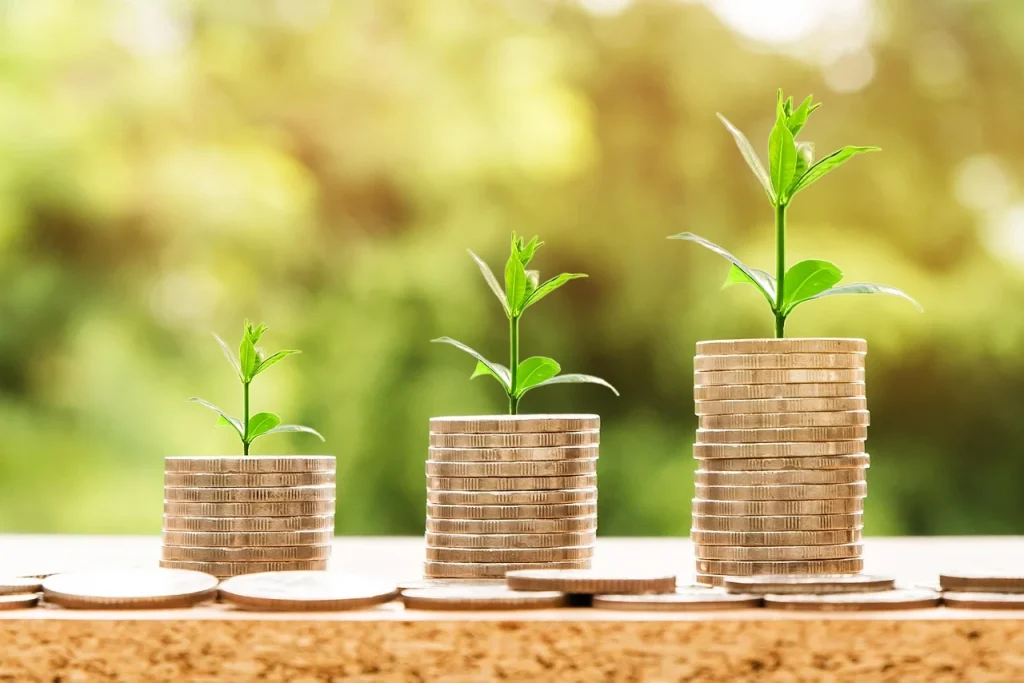 Money Growth Budget