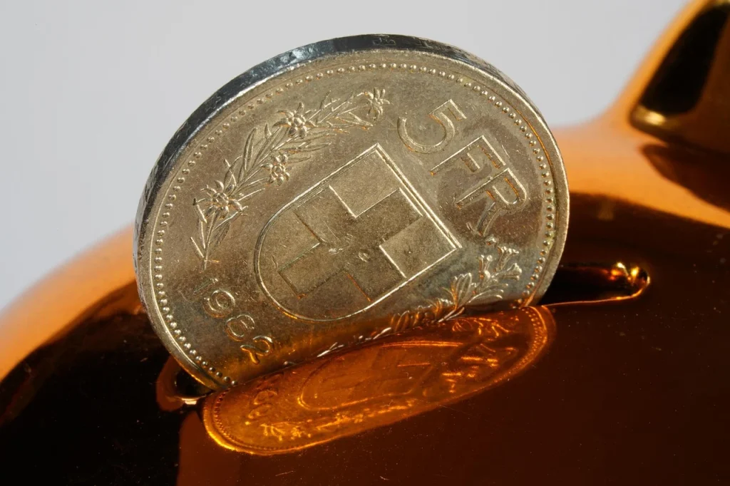 Money Saving Piggy Bank