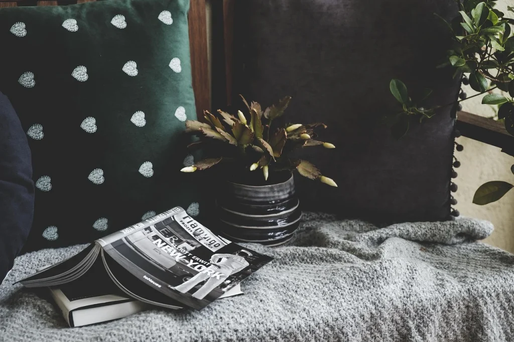 Photography Graphic Design