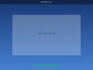 Website Coding Developer