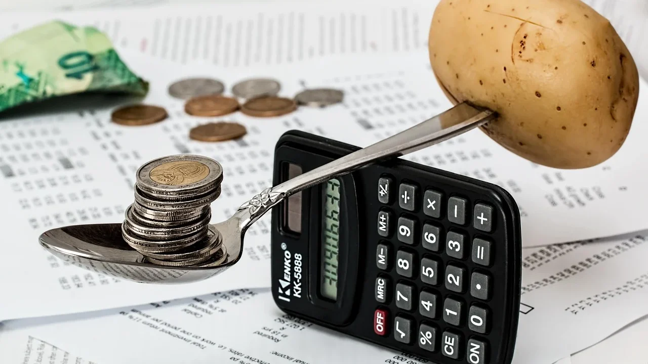 Budget Planning Calculator