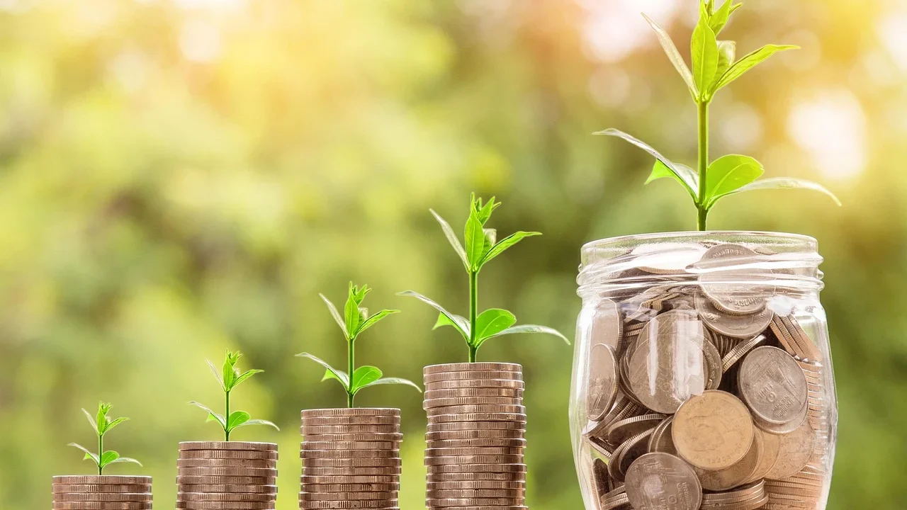 Business Growth Rocket