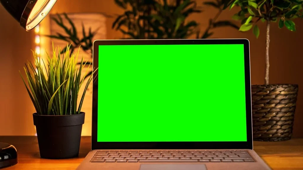 Computer Monitor Notebook