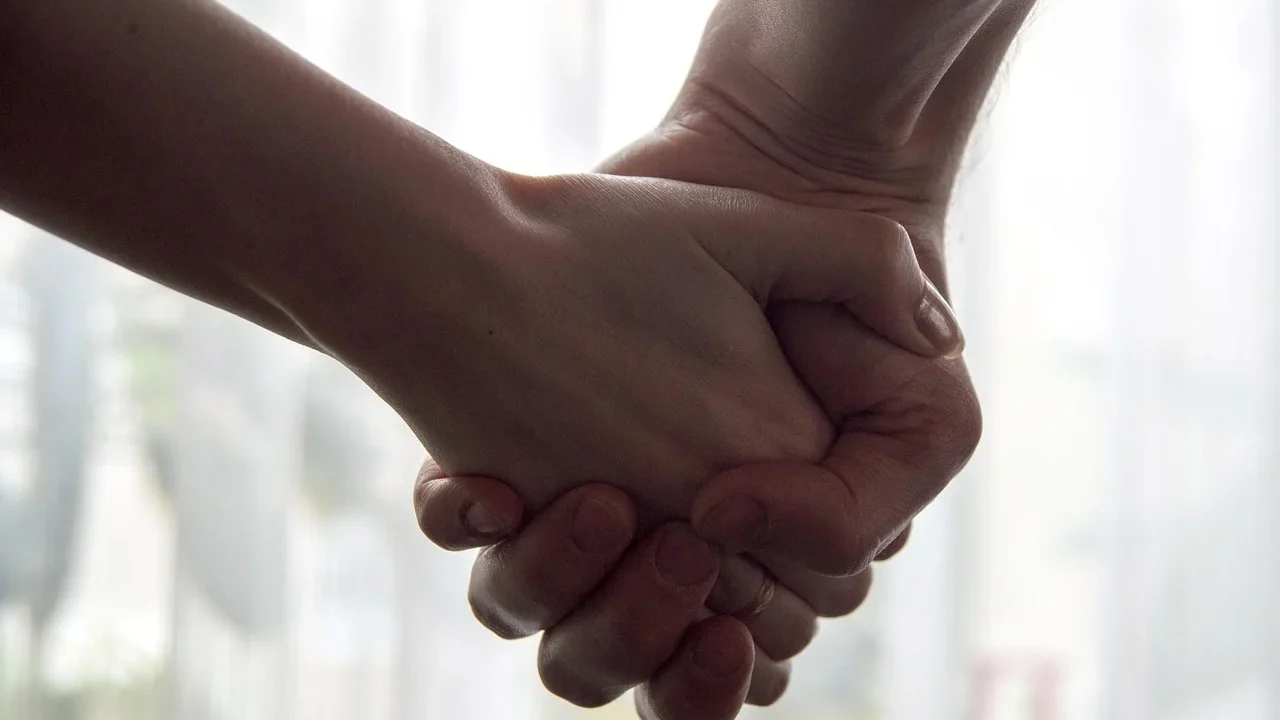 Consultant Handshake