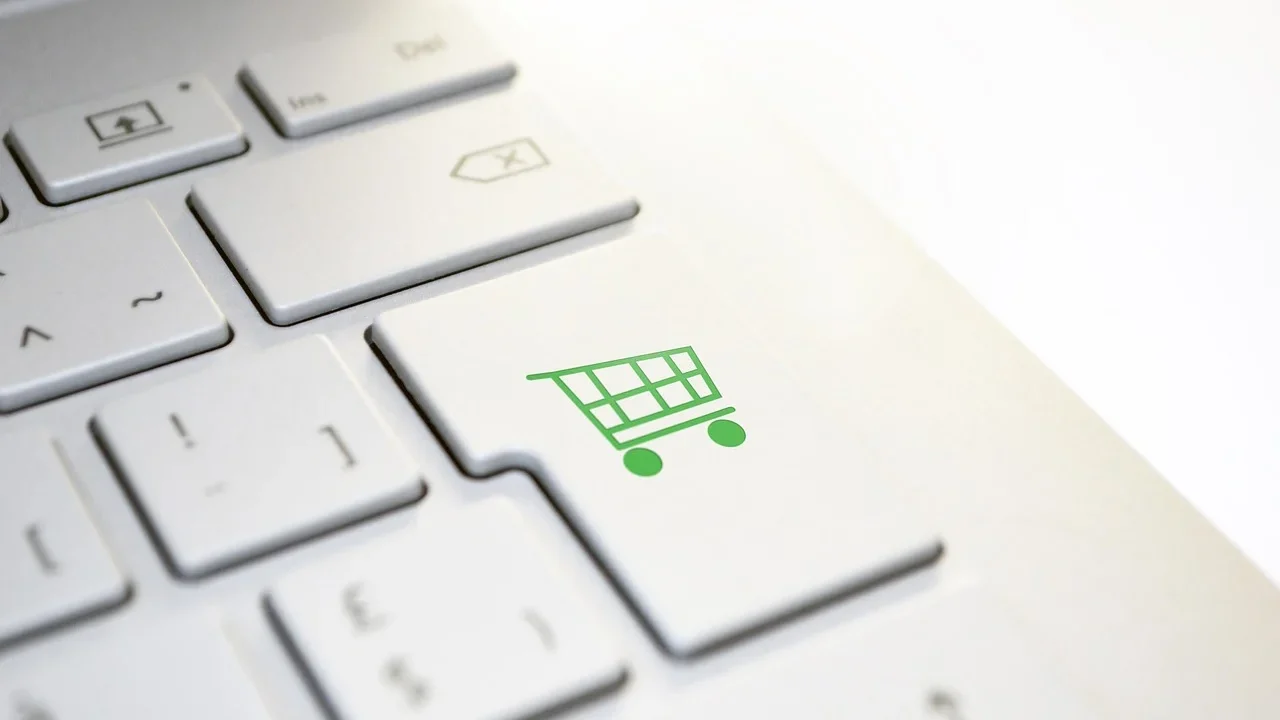 Ecommerce Website Professional Brand Online Store