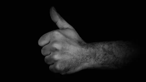 Human Hand Robot Hand Cooperation