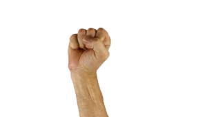 Human Hands Typing