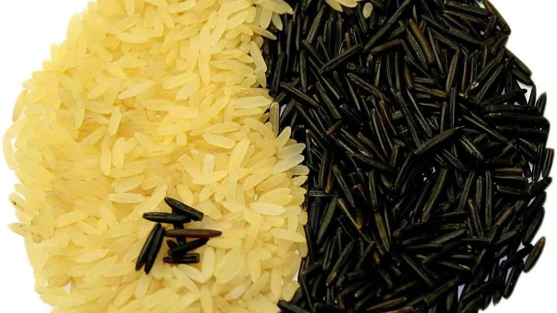 Lingkaran Setan Biaya Iklan Yang Tak Ada Habisnya