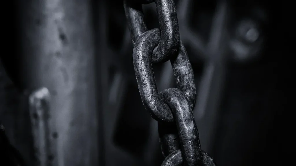 Link Building Connection