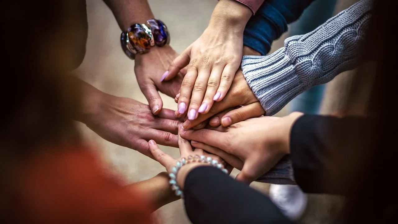 Link Building Network Partnership