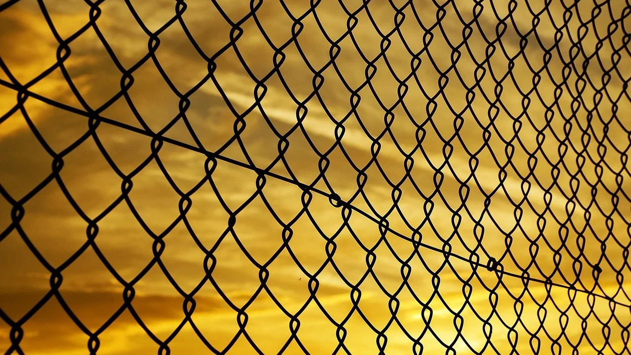 Networking Digital Links