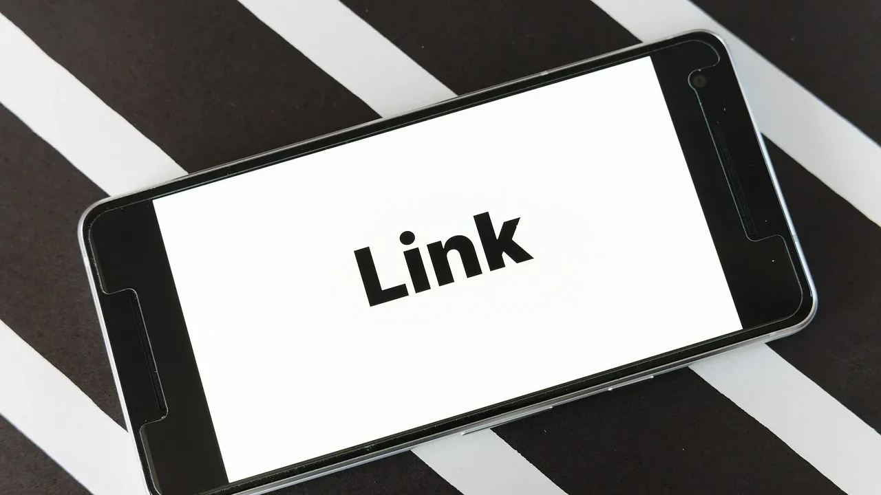 Networking Link Building