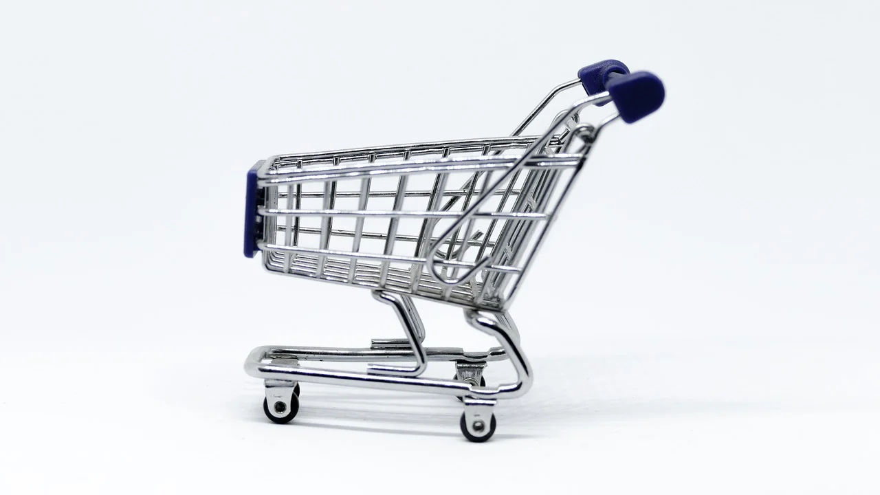 Online Store Search Engine Shopping Cart
