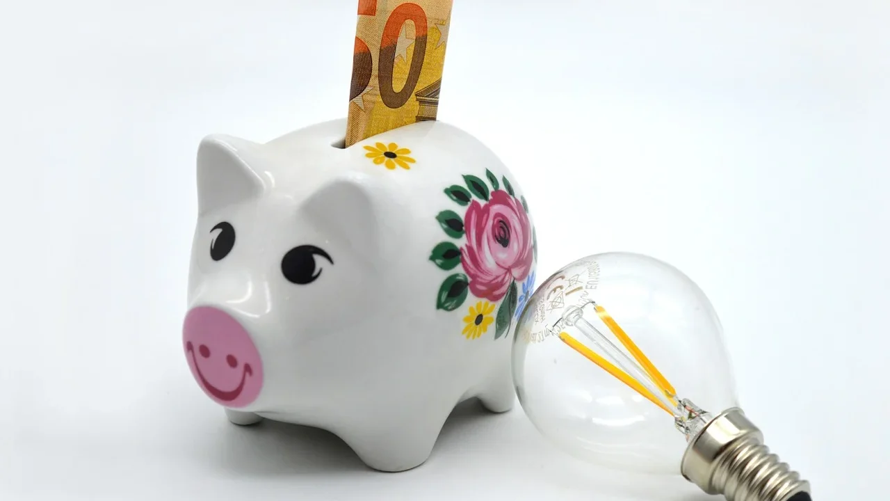 Piggy Bank Light Bulb