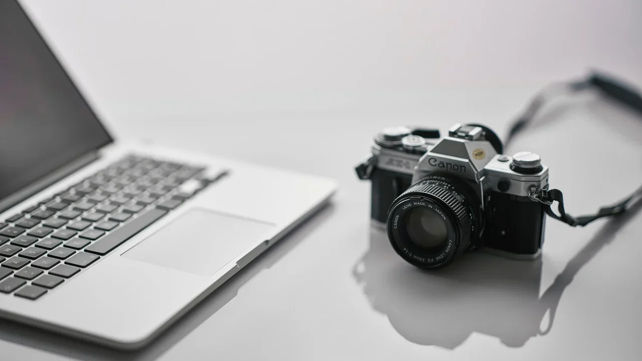 Professional Consultation Digital Agency