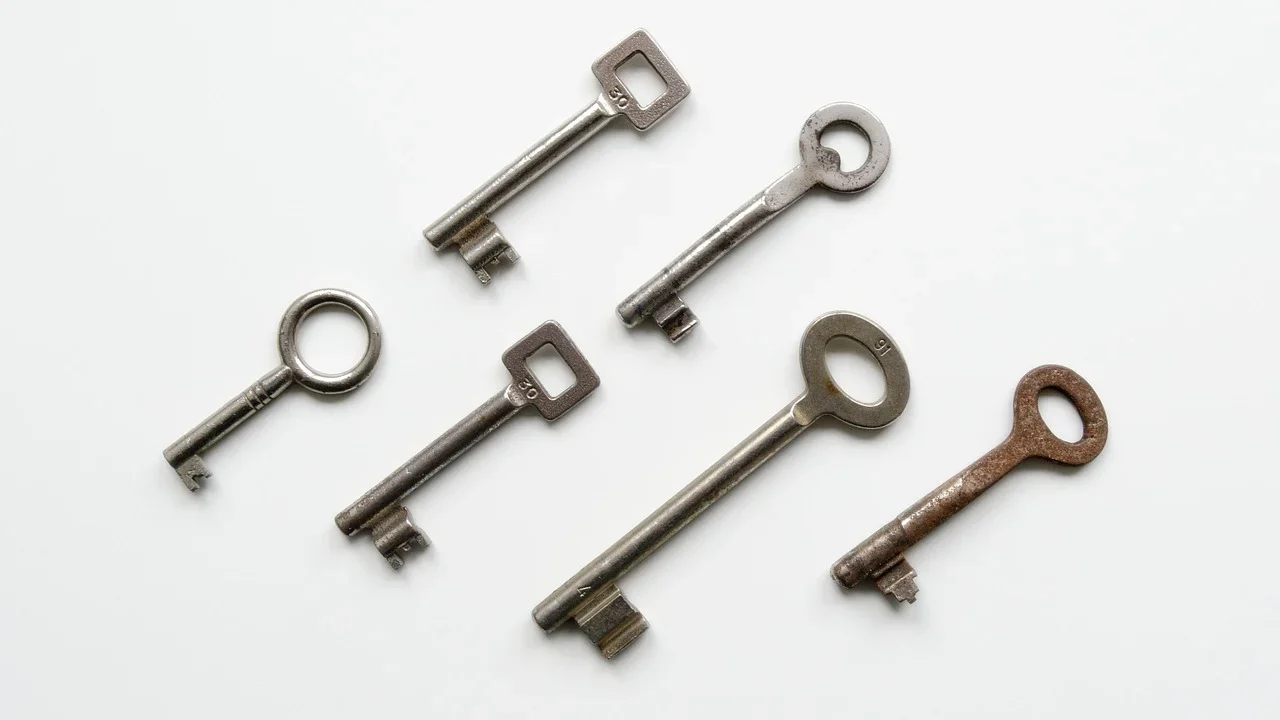 Security Lock Shield