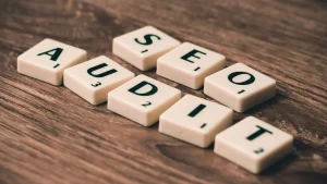 Seo Optimization Search Engine