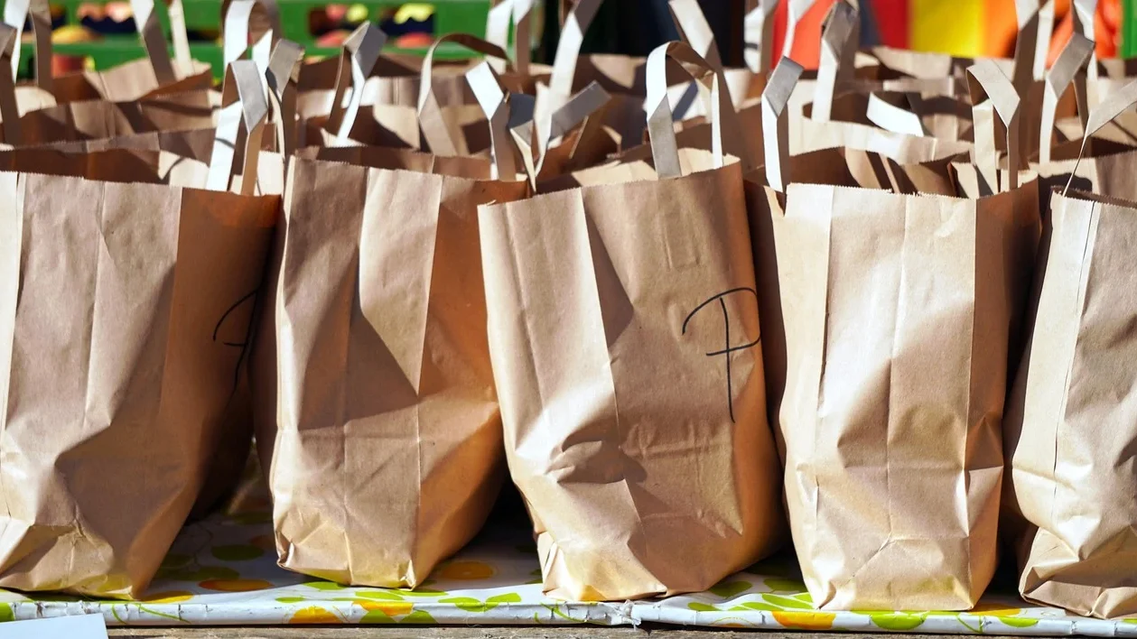 Shopping Bag Money Growth