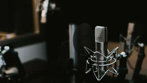 Voice Assistant Microphone