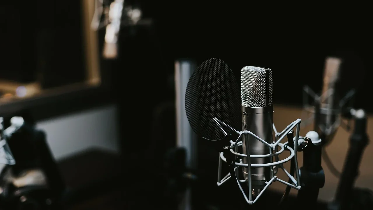 Voice Assistant Microphone