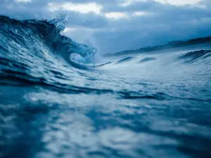 Adaptation Flexible Strategy