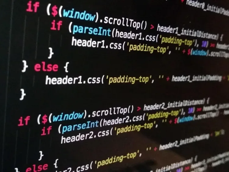 Web Developer Client Meeting