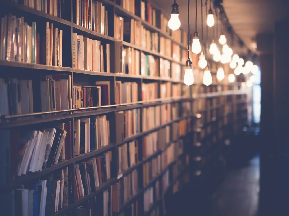 Content Optimization Digital Education