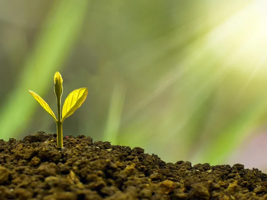 Nganjuk Growth AI Impact Business Development