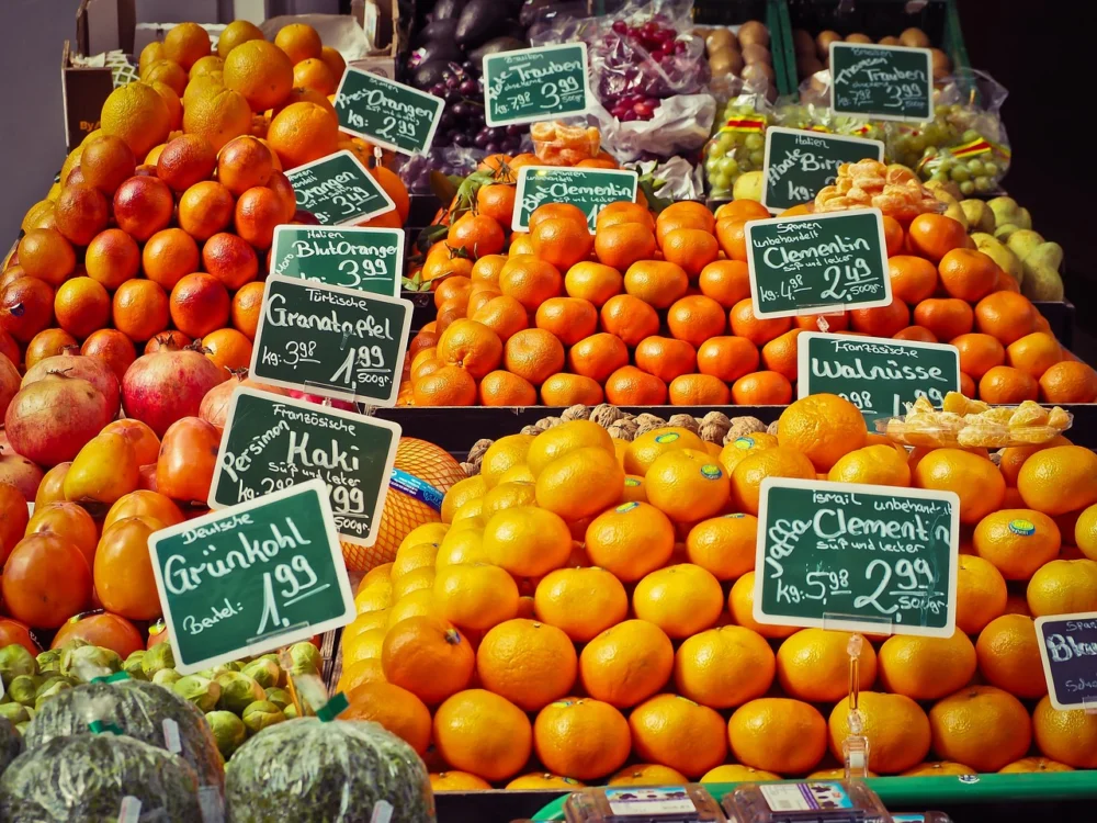 Pricing Table Business Plan