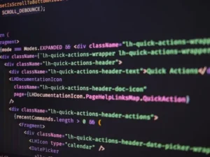 Data Schema Code Snippet
