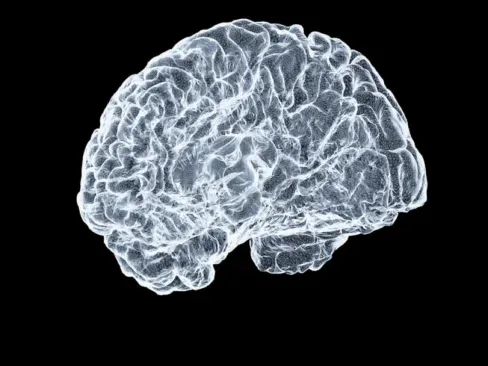 Search Evolution AI Brain Diagram - Website Muncul Di Hasil Pencarian AI